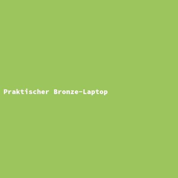 Practical Bronze Laptop